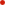 redradio.png (5×5)